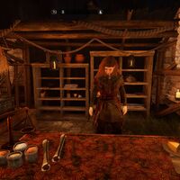 Screenshot de Tainted Grail: The Fall of Avalon