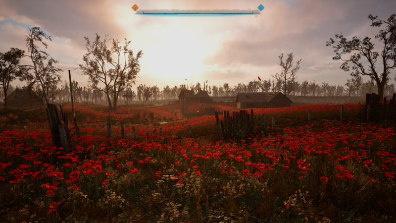 Le champ de coquelicots