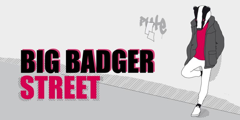 Big Badger Street