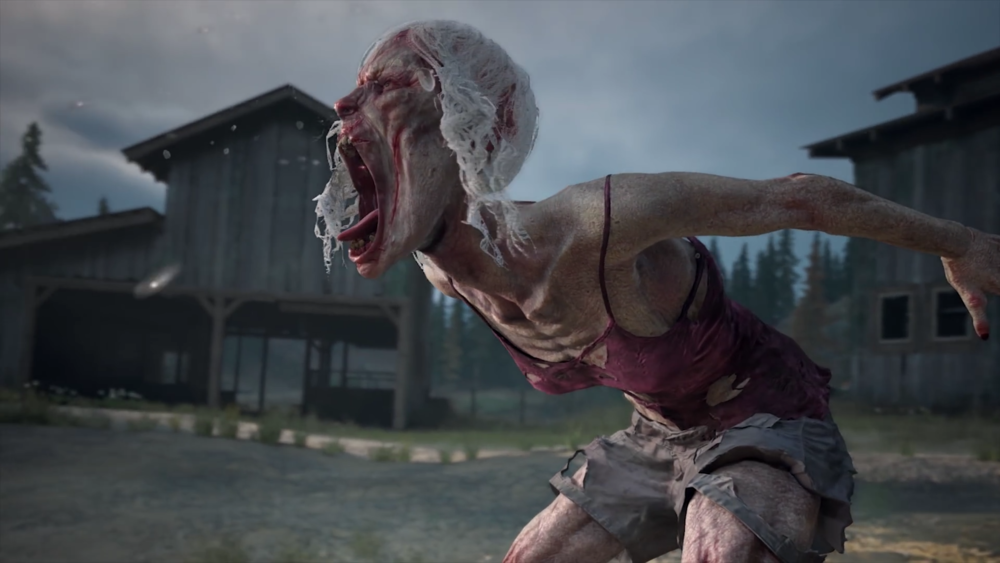 Days Gone