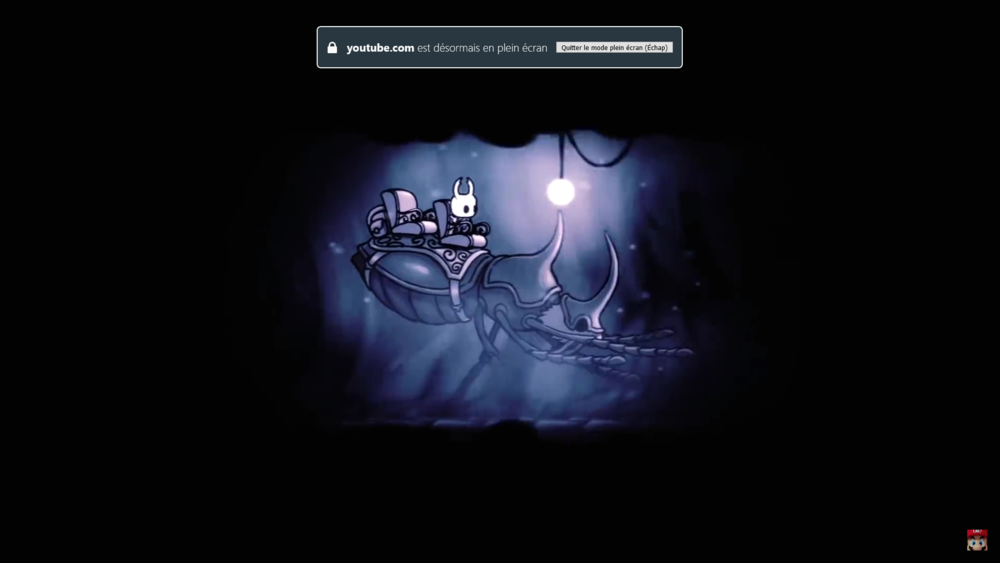 Hollow Knight
