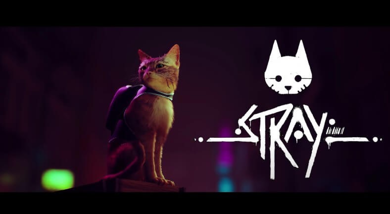 Stray