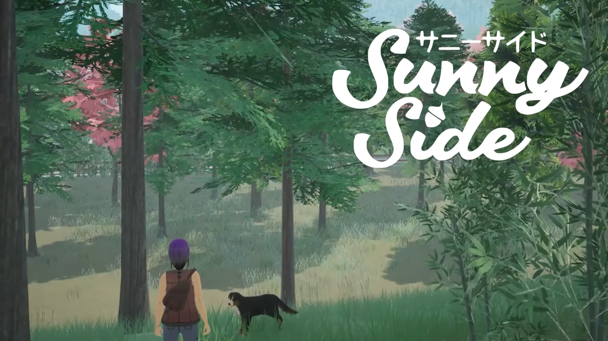 Sunnyside