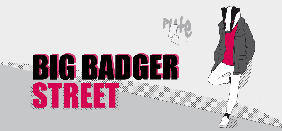 Big Badger Street